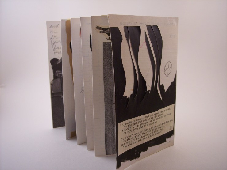 Cleverest Girl, 3.5"x5.5", Accordian book, Collage, Acrylic, Pen & Ink, 2013