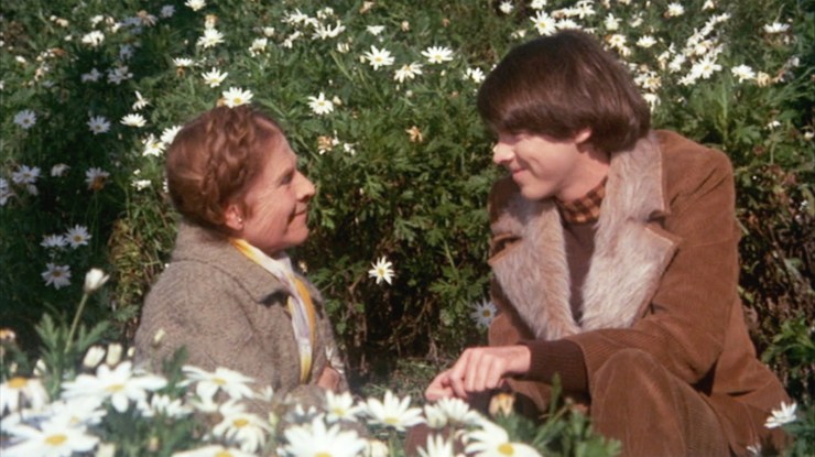 Harold and Maude, best movie of all time, ever.  For real.